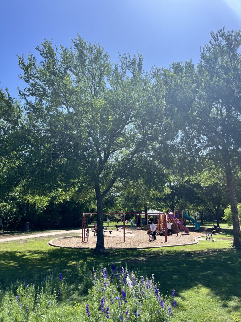 2026 Crowley Park Wildflowers Update4