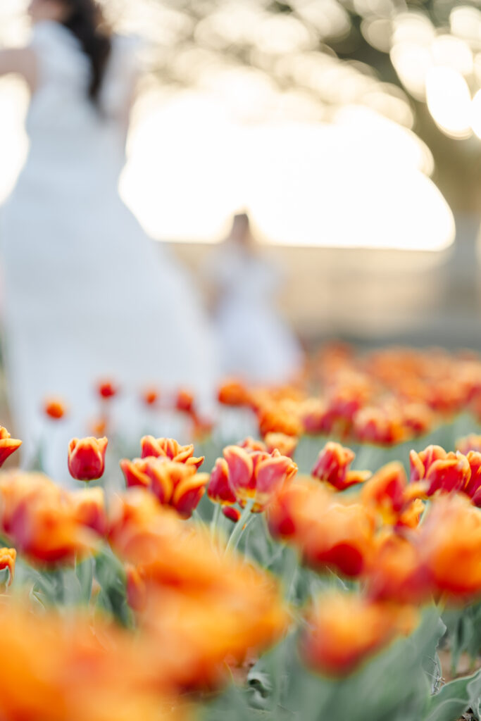 Spring mini session at Texas Tulips in Pilot Point.