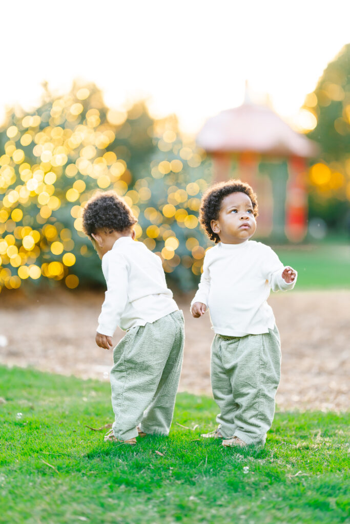 Christmas Photos at the Dallas Arboretum
